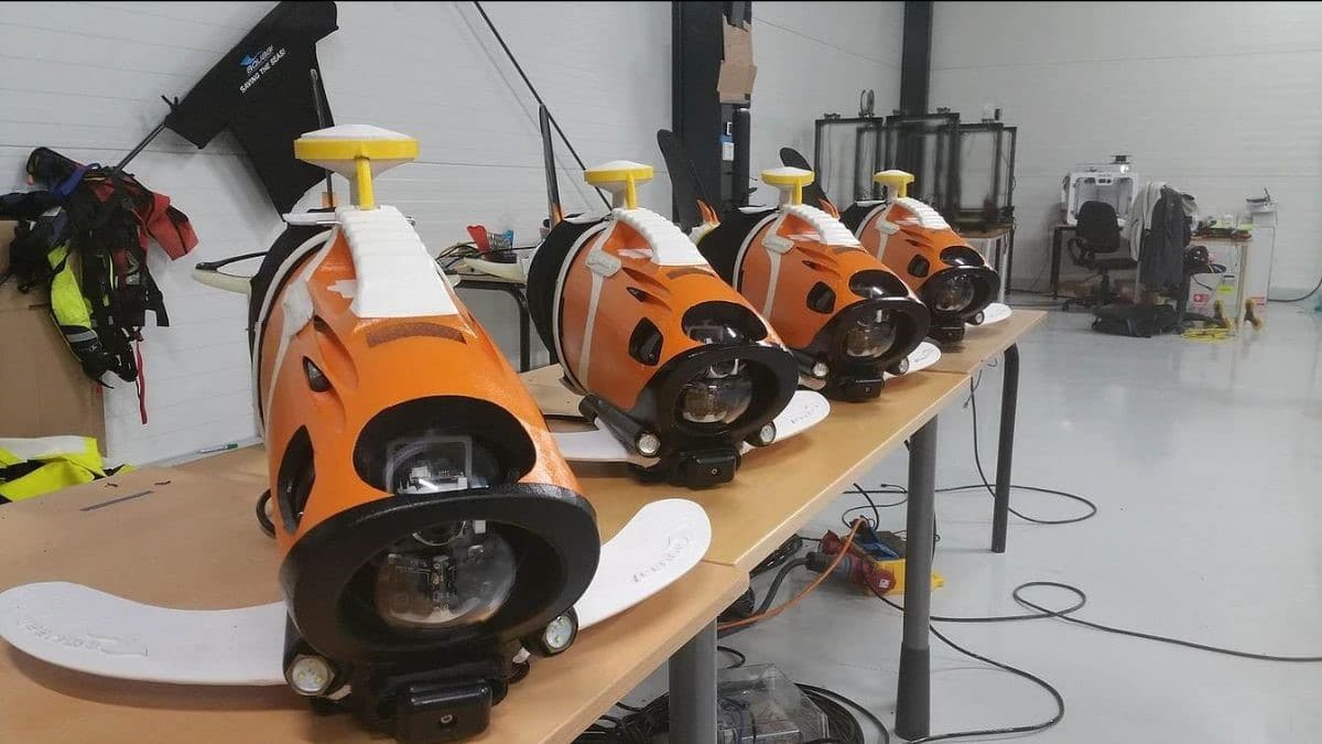 Aquaai Robotic Fish Provides Real-time Data From the Seas